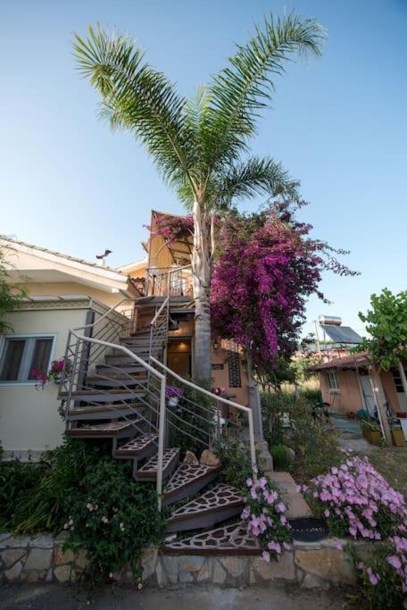 Bougainvillea House 1 Kalamata Exterior foto