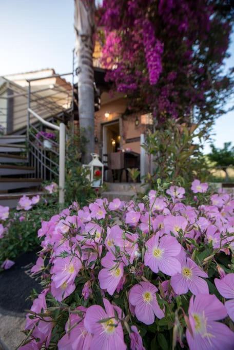 Bougainvillea House 1 Kalamata Exterior foto